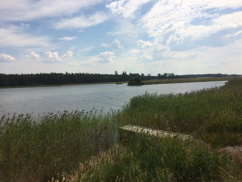 0CF0D583-A019-4E0A-98A3-B92136692957