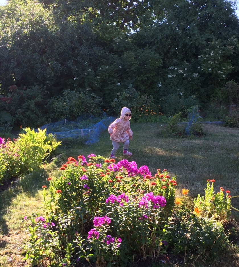 1F2838AB-5CBF-423A-B71A-9584D81CDA1E