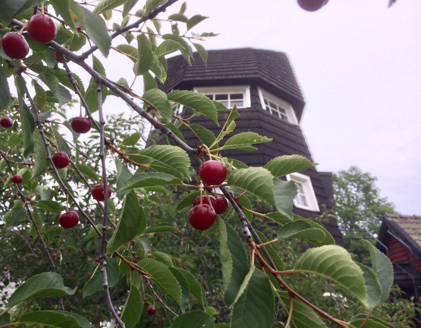 373EED3A-62F6-49E3-9081-EC22A4E5A871