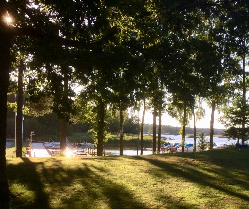 39512859-0396-45EE-A7AC-D47B5B6ECCC4