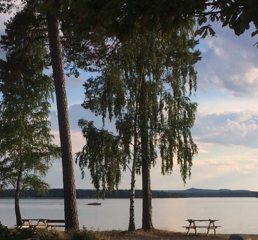 3DC50C8D-11AE-4DB6-BED3-AE8643783670