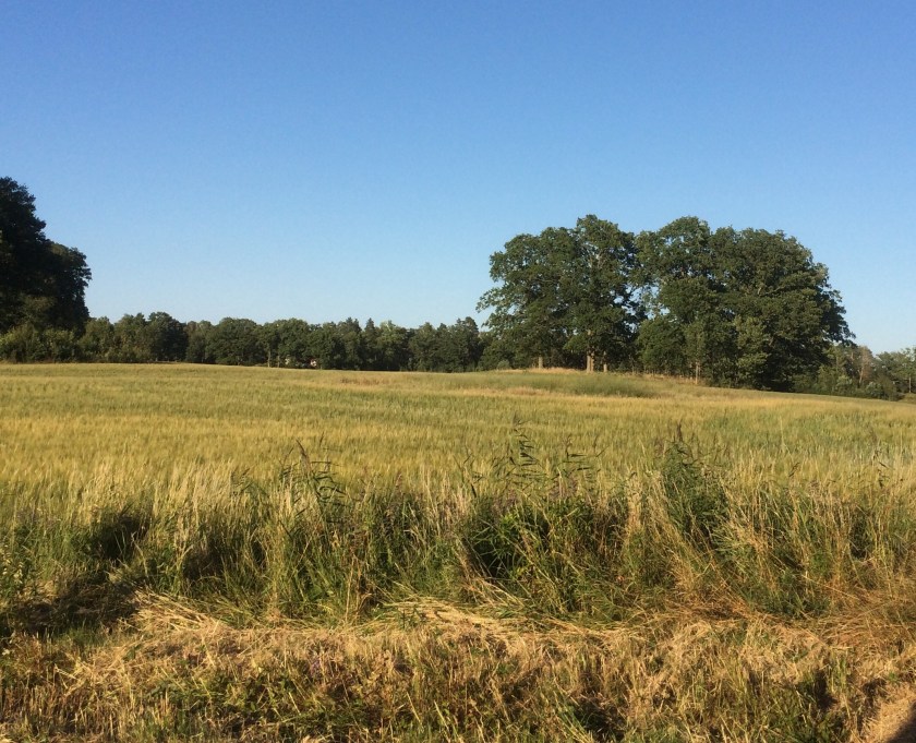 4D3DB5E6-1F38-43BF-BB40-64F21C8C327B