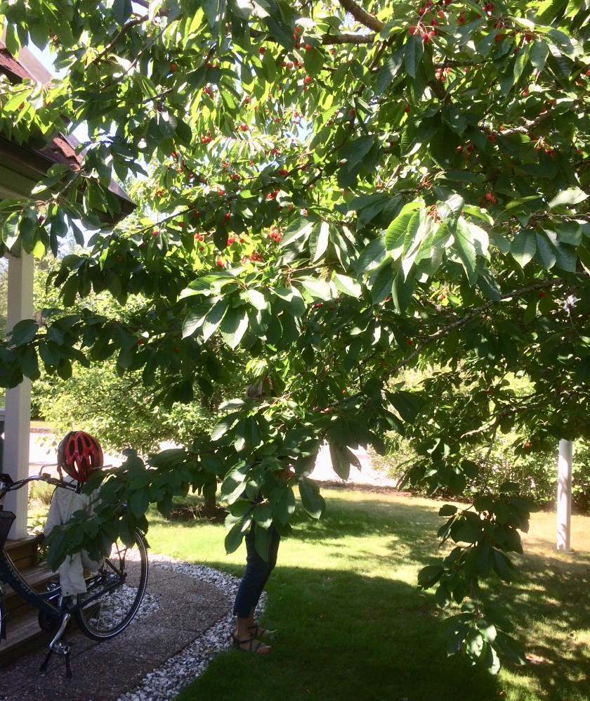 53C53AA8-938D-4F3D-B728-0C69B4E1AE23