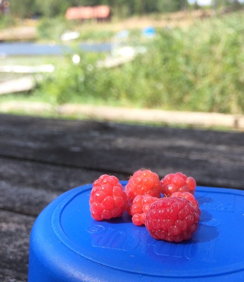 65795655-3A2B-45A5-BCC3-AA14B8BA89EF