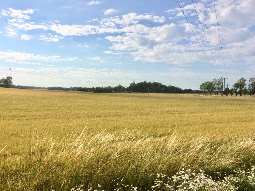 96CB8D30-E689-4FF0-8FCB-769C79E2B2B2