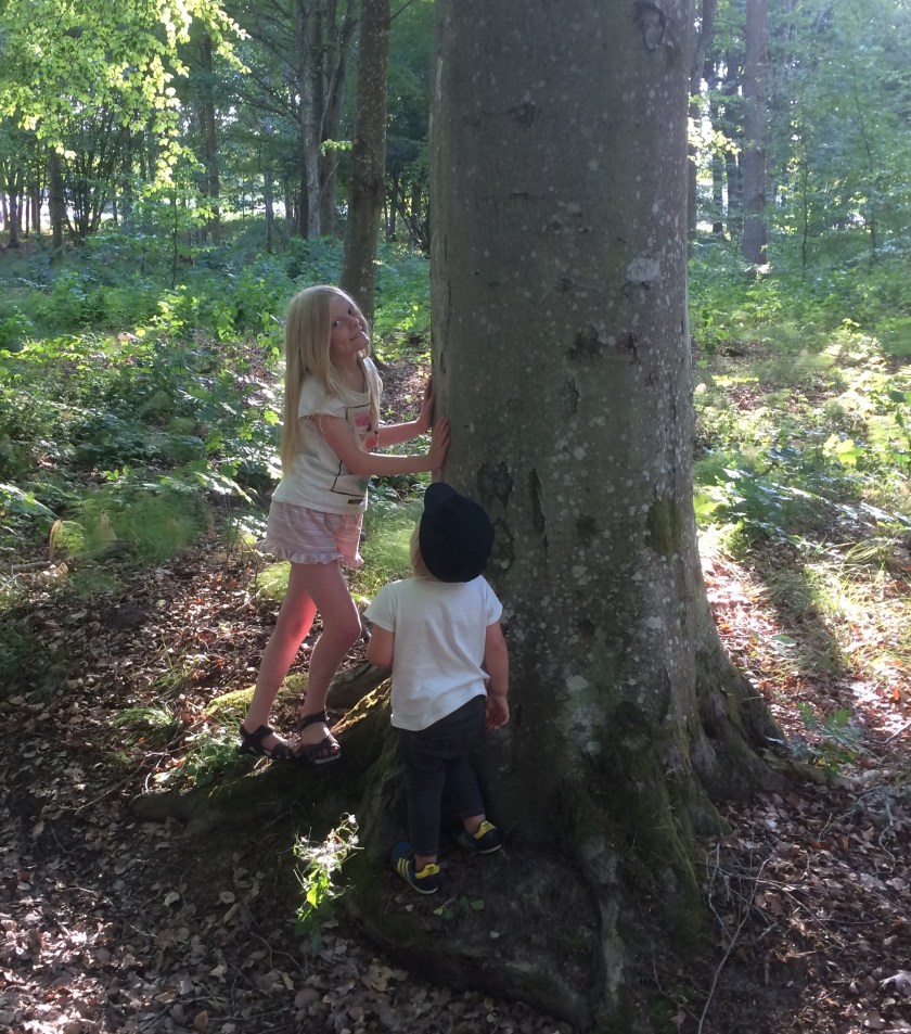 AD8B5FF7-AA0B-4D8E-B75C-AC3D07A88D20