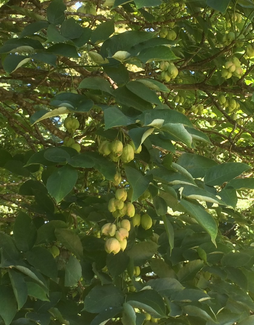 C24D5110-E4F6-4DCA-88DF-4DE382EE6755