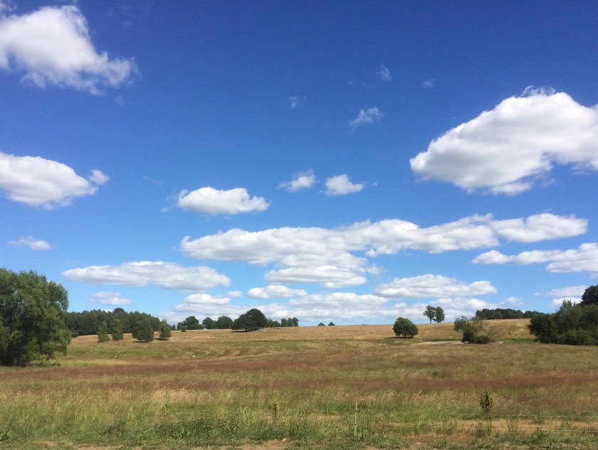 CE48AD20-E87D-4B4C-9022-09617A66C08E