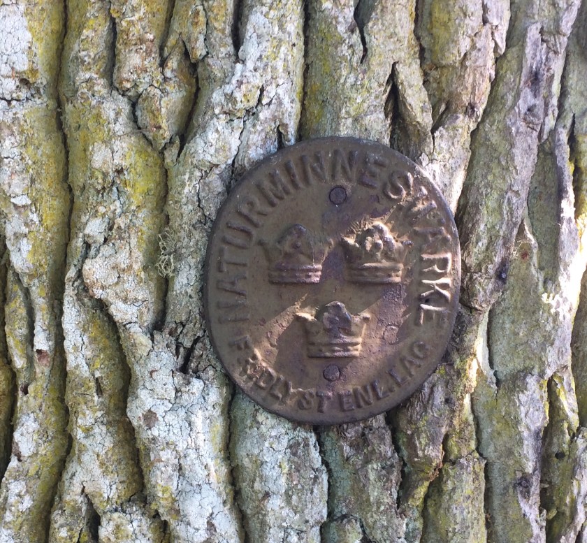 DEBBD196-5F4A-4F81-A0E0-A376E3D12131