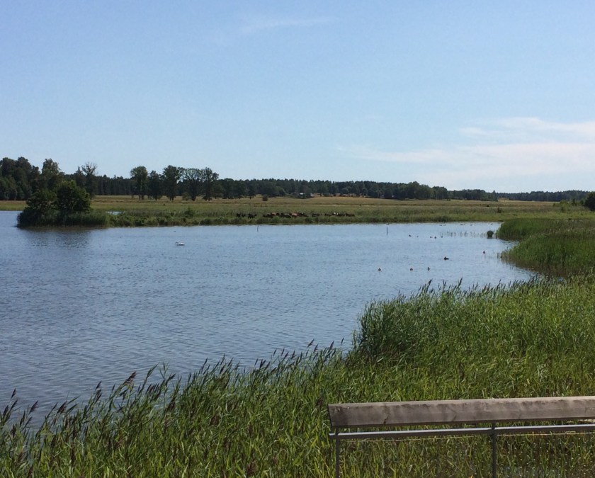 F582F5A3-2D6A-4294-BCCE-B5181FC28B0A