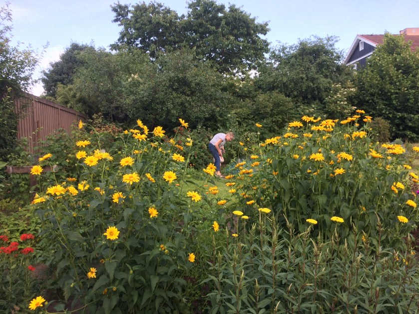 F6EE9EAE-336F-4352-88E8-1B3B8E119682