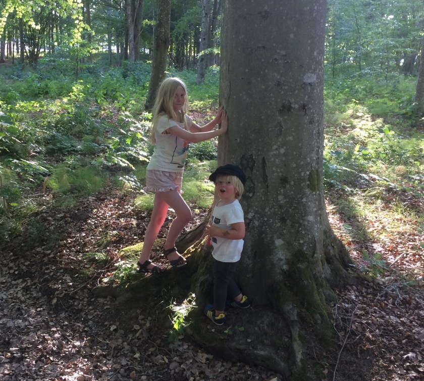 FD2EC62C-3160-48E7-8D3B-15B0BF9D8E31