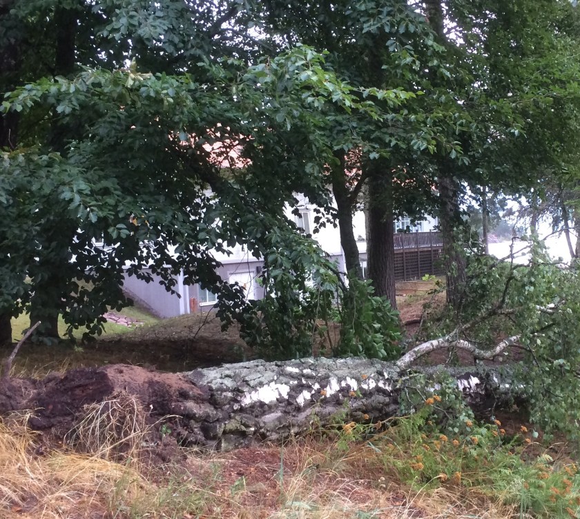 05500FB0-09BD-4842-AE1D-5D8D3A92F070