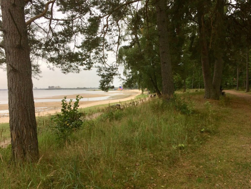 055448C9-49A3-429B-853F-C451A18094D4