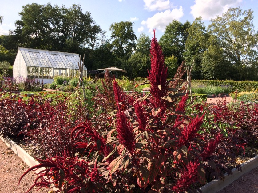 05DC434F-B804-4576-8C77-5D6901E2F1AC