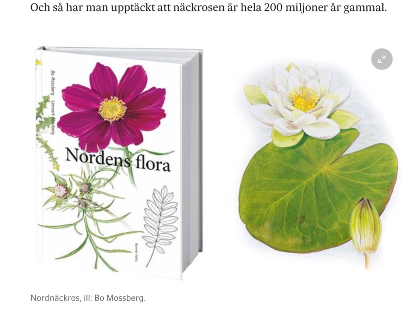 13D9A936-ACCE-4E50-B970-4B29C3CD14FC