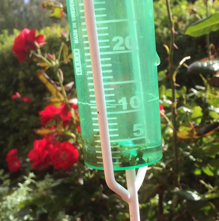 205FFF3F-92F6-4B76-8D80-6CD220D2A448