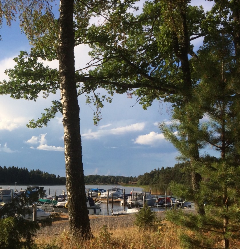 3EFFF838-2A7E-47F8-868A-F8D18FC19B05