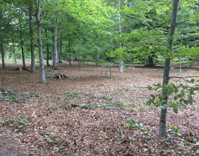 50561516-3D66-4AAD-99B8-5E2F0E40A13B