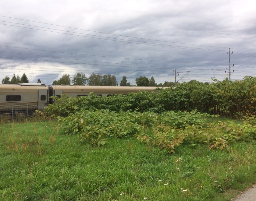 6D50A171-980D-49A5-877D-0AEC074696E3