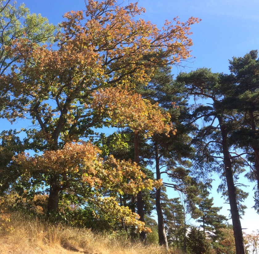 7619F1DC-1E0B-4BD1-BC8F-D74590D4C7C3