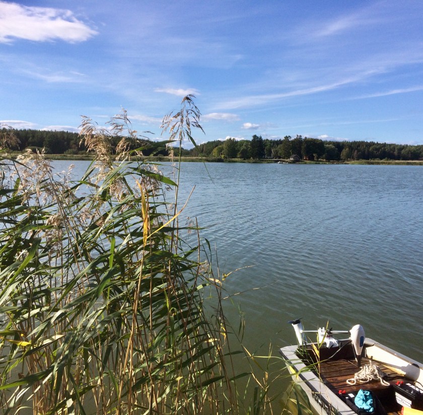 7E4710E3-78E7-468A-97B7-8381E8A63A09