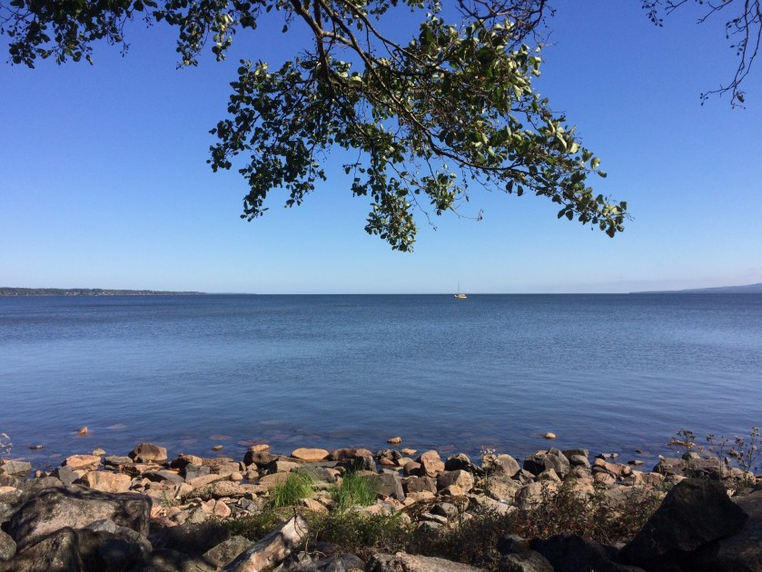 7EF656E3-F492-4365-8726-44088F6BF46D