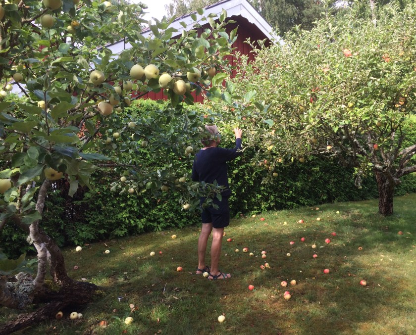 889480AB-242F-4E53-A614-FAEF2E841C9C