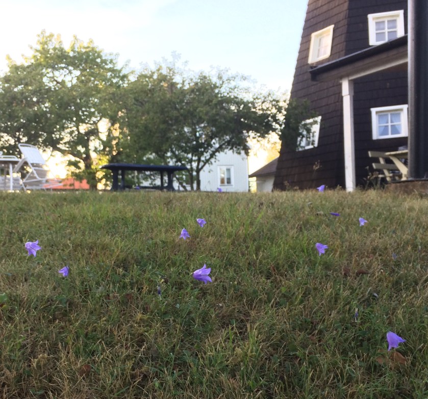 B5CC8D4F-9B01-4F45-8C8B-890069F95E6B