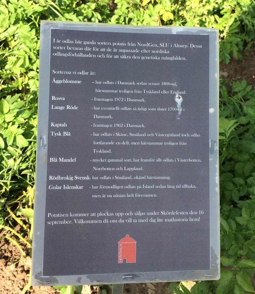 C7066A54-D1FA-4A3D-9C56-8BD0CCC22C3F