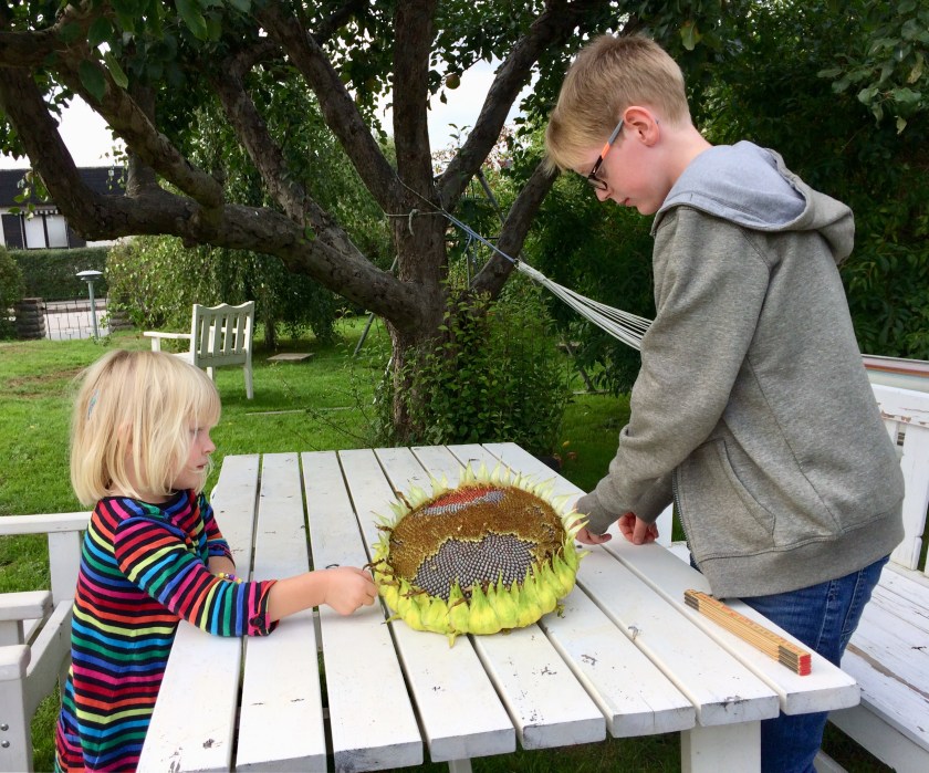 047488C0-7D97-419E-9690-379E2FB709D5