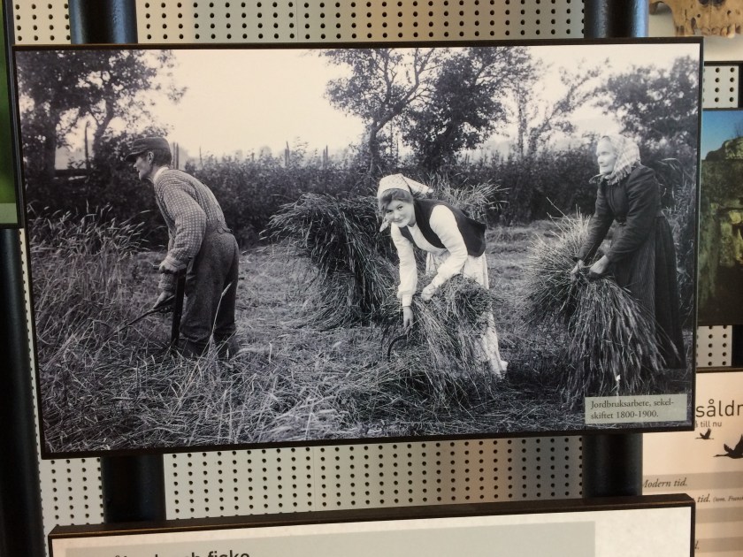 0549EAF3-2673-4248-B46B-2D243B6D41A9