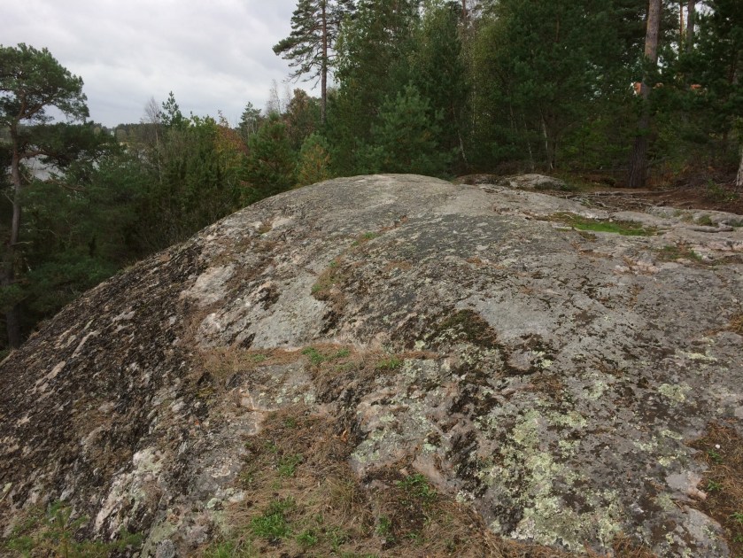 22A5D07F-A296-42FE-9614-6A00A9E338CC