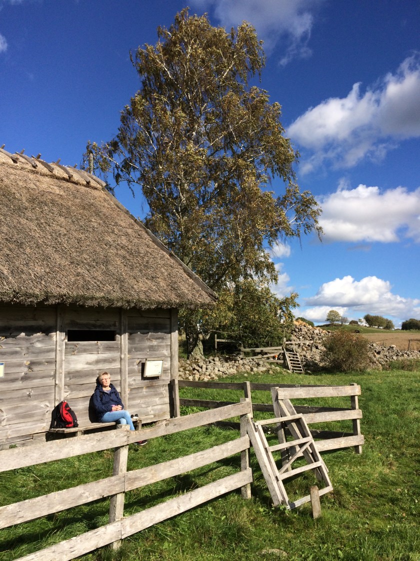 6AF402F0-8E79-46E2-B107-6275EAC1F03F