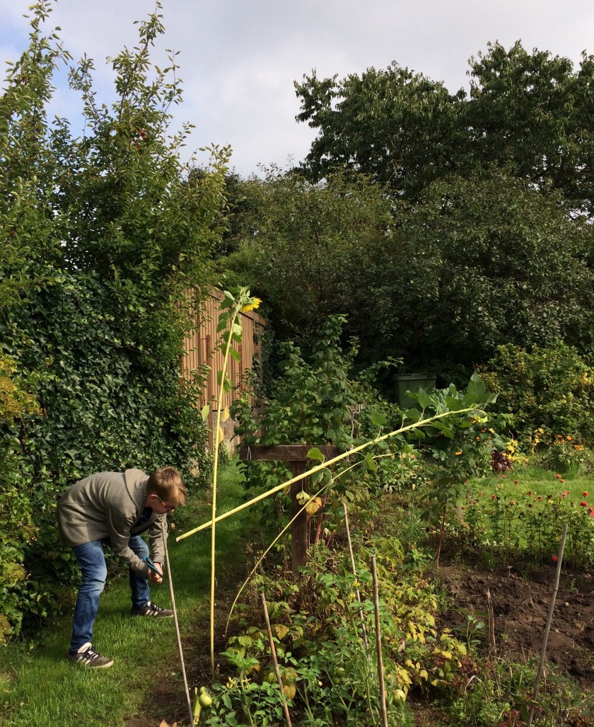 751078C2-AB3C-4988-BDC7-D0D194EFDE72