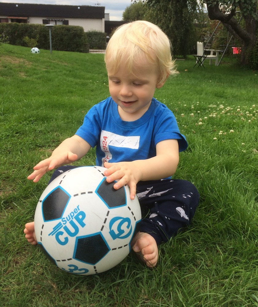 85A52433-B86B-43A7-BB1A-35EC1B0D726F