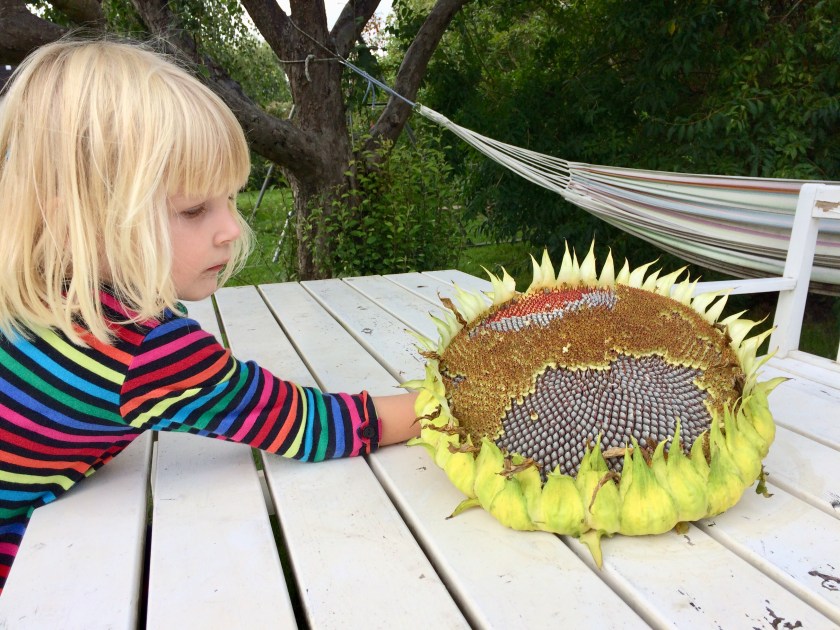 997405B2-8A61-4EEA-97B5-DD0DCB31EA96