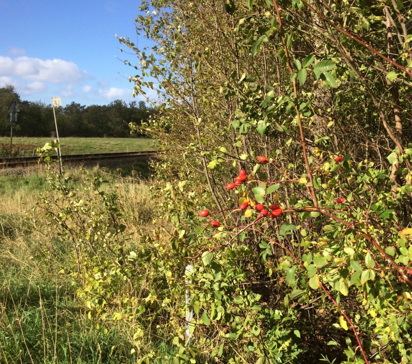 D088D1A6-1D60-4920-BE69-CD67768DFF9B