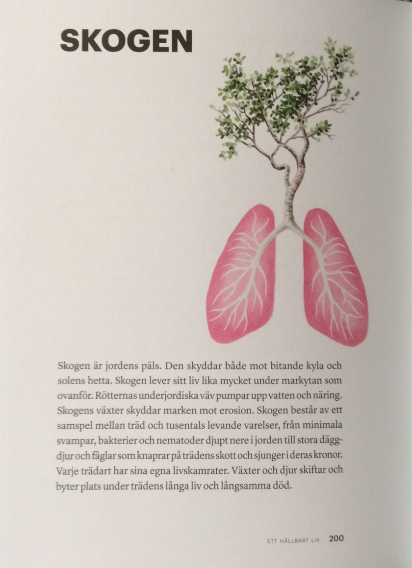 2ECDA8DE-4AF0-4874-AA17-47F3734DDB9E