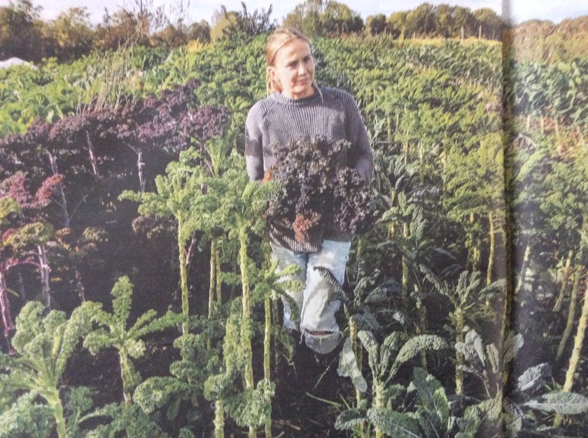 441734E4-13F0-411A-AA10-F44832C8A818