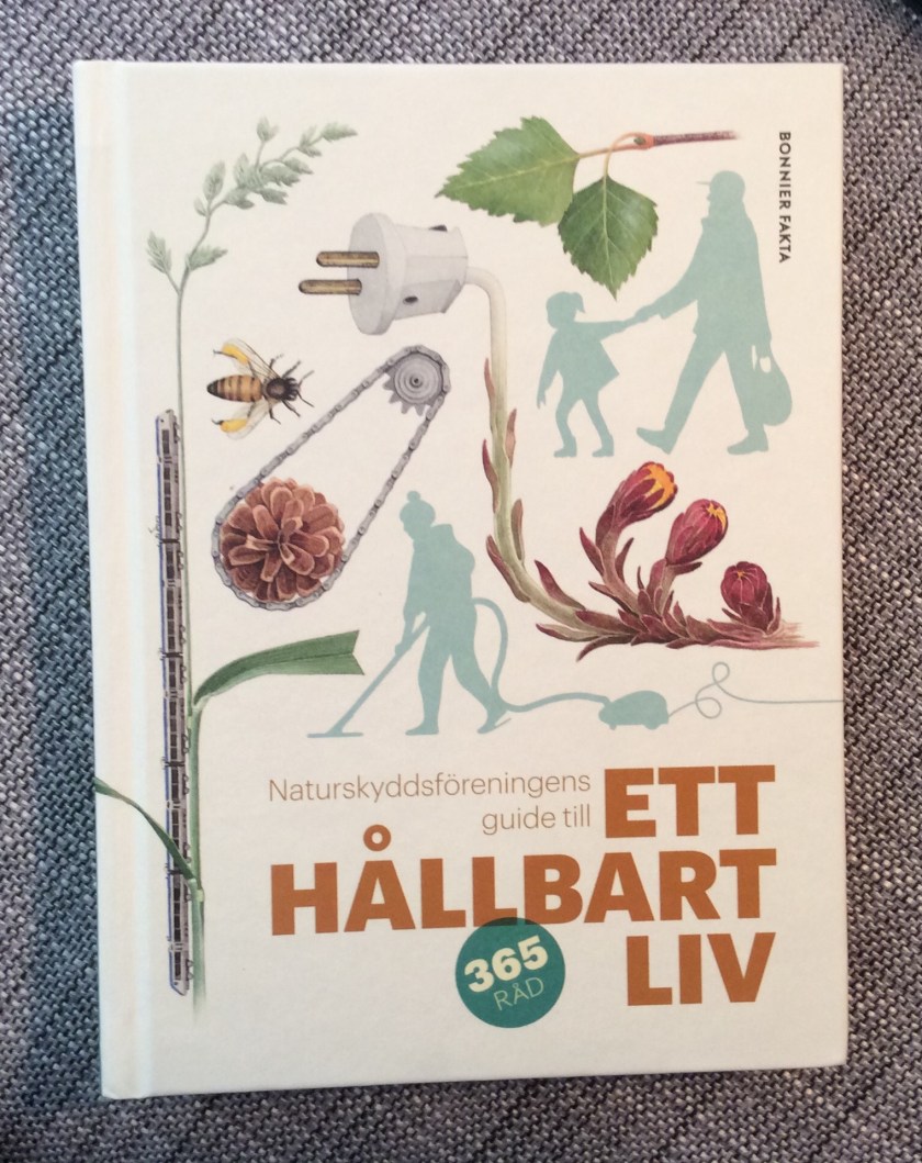 53F91D2D-B8E1-4B7C-96C8-14AC0B611C48