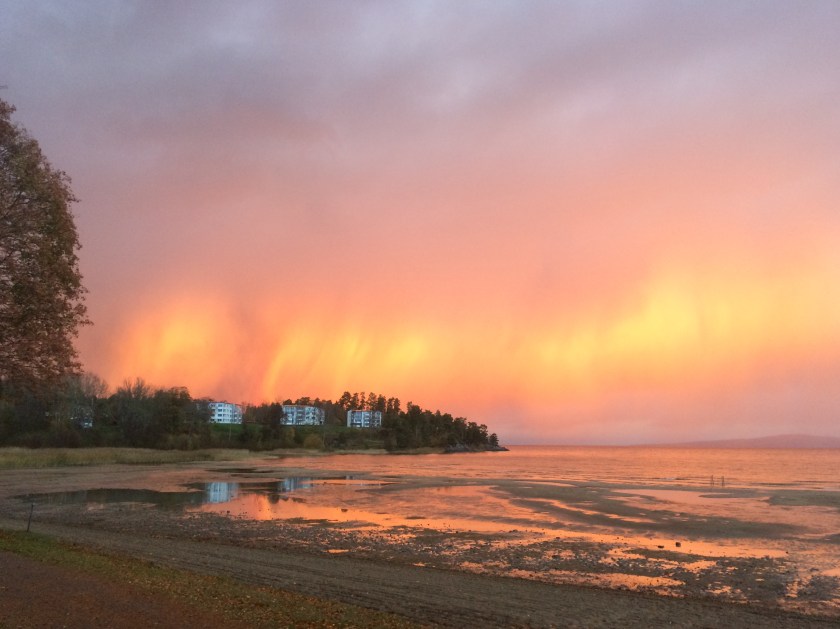 704A31CB-A9F5-45A4-9607-533CA945665E