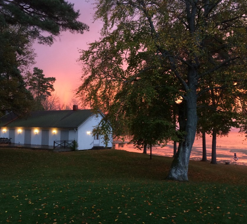 9B40E265-1403-49D5-90E1-23E2B14C8A2C