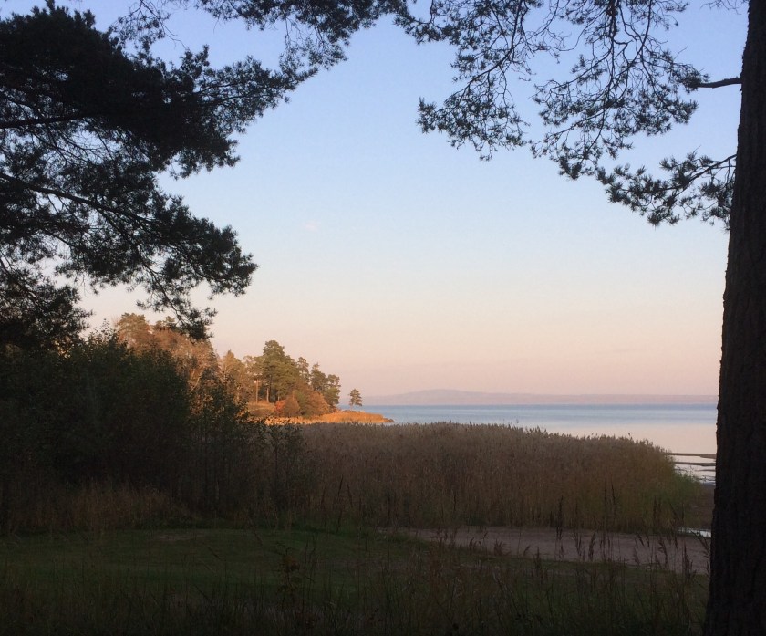 CB72EE5F-6544-424F-8C5E-17224205A9DC