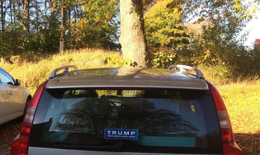 D239E402-377F-4390-9837-ACC383F1DAFA