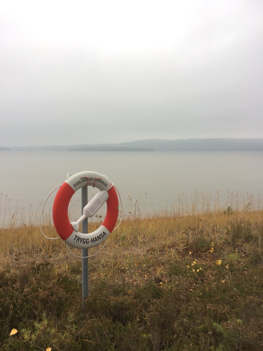 2B2EA1E4-EF8E-4AF7-9918-E0F2216B1B7F