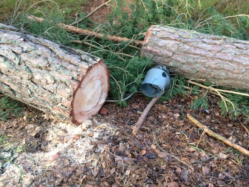 3E1D17DF-4E6B-431F-8A27-D490B2F28070