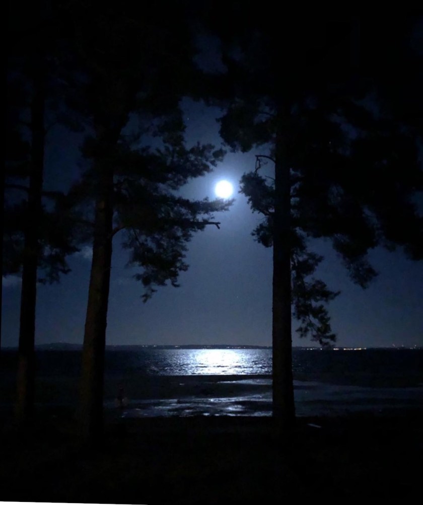 5782F811-26C5-4F57-974E-6F02DF576533