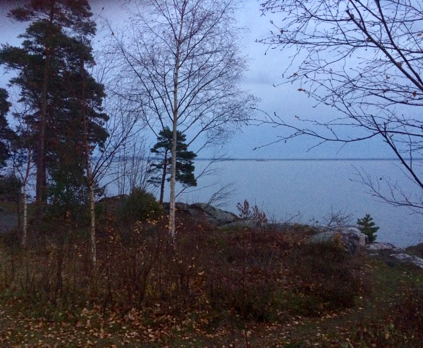 C77C0C15-DA9E-4A2F-ADAD-133899B59107