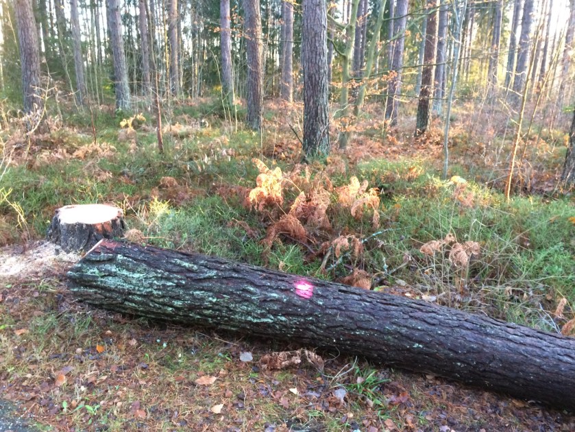 CD7D6EDB-9083-498B-AC8E-CE362C9EF814